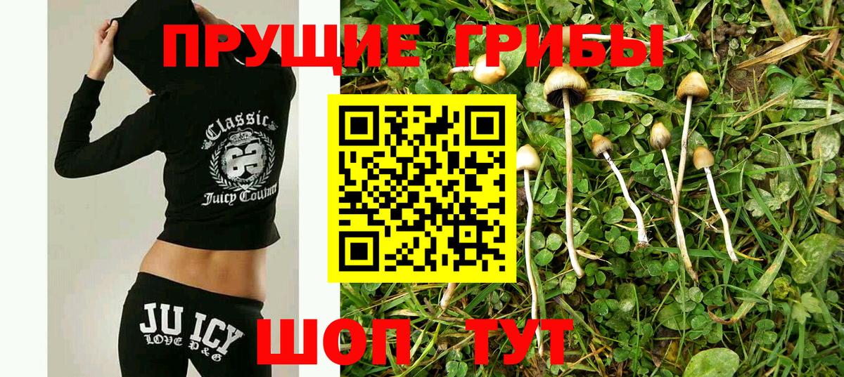 Хабаровск  Галлюциногенные грибы Cubensis  Псилоцибиновые грибы прущие грибы  Вход с VPN 